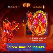 circo maluco beleza recife circo maluco